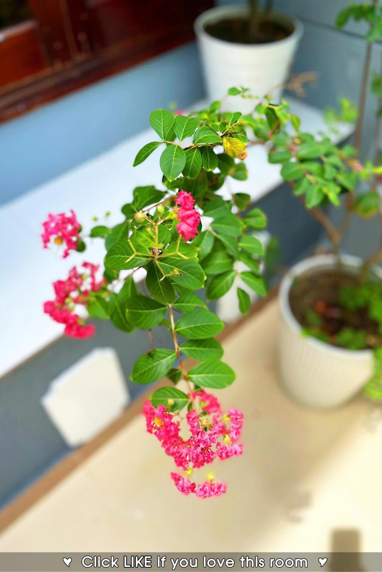 Fstay Garden Corner - Cozy And Peaceful In Homestay *
